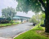 Nhà Vườn 1.300m2 Bình Chánh giá chỉ 5.65 tỷ.