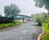 Nhà Vườn 1.300m2 Bình Chánh giá chỉ 5.65 tỷ.
