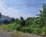 🌳 BÁN ĐẤT VƯỜN ĐƯỜNG NHỰA MỸ HÒA – GẦN CẦU PHÚ HÒA