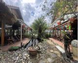BÁN HOMESTAY VIEW ĐẸP – ĐANG KINH DOANH TỐT TẠI LANGBIANG, ĐÀ LẠT