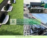 Cung cấp cỏ nhung Nhật - Cỏ lá gừng KCN Đồng Nai