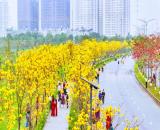 🏡 QUANG TRUNG – GẦN PARKCITY LA KHÊ – LÔ GÓC – NHÀ ĐẸP 4 TẦNG – GẦN ÔTÔ
