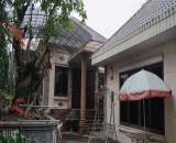 1000m MẶT ĐƯỜNG VỆ LINH PHÙ LINH BÁN ĐẤT TẶNG BIỆT THỰ  2 THOÁNG THÔNG Ô TÔ KINH DOANH ĐỈN