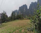BÁN ĐẤT VIEW ĐẸP – TIỀM NĂNG CAO 🌿 📍 Vị trí: Lương Sơn, Hòa Bình (nay thuộc Phú Thọ)