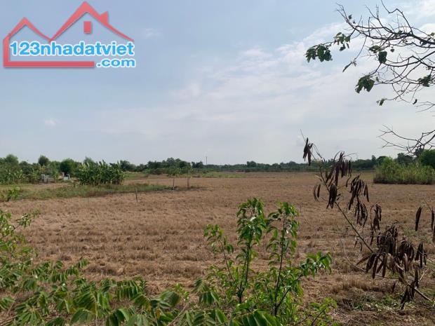 Cần Bán 1464m2 Đất Mặt Tiền Gần Tô Ký-Tân Xuân Hóc Môn Chỉ 38 Tỷ - 3