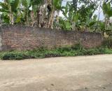 3xx triệu có ngay 135m² FULL THỔ CƯ – giá quá mềm 🔥  📍 Xóm Tích – Yên Trị – Yên Thuỷ 📐