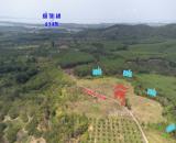 800 triệu sỡ hữu 2000m2(100m thổ cư) Thanh Sơn, Định Quán, Đồng Nai. đường ô tô, sổ riêng