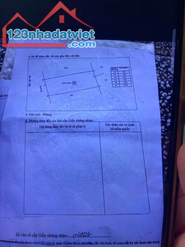 HÀNG HIẾM CHÙA TIẾNG – ĐẤT MT 10M ĐƯỜNG THÔNG, TIỀM NĂNG TĂNG GIÁ CỰC MẠNH - 3