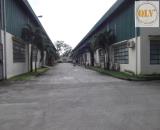 BÁN NHÀ XƯỞNG TẠI VĨNH CỬU, ĐỒNG NAI – GẦN CCN THẠNH PHÚ – 26.561m²