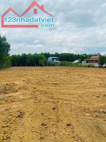 Đất vườn Đà Nẵng, đã đẹp lại còn rẻ - 2