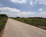 BÁN ĐẤT AN HẠ BÌNH CHÁNH - 1400M2 - SỔ RIÊNG - ĐƯỜNG XE TẢI - QUY HOẠCH ĐẤT Ở