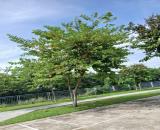 *Bán đất đường Phạm Viết Chánh (7m5), gần Nguyễn Phước Tần, dt 96,5m2, giá 5,7 Tỷ