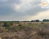Bán / cho thuê đất công nghiệp – KCN Sóng Thần 3, Thủ Dầu Một, Bình Dương – 76.163m²