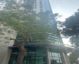 Cho thuê văn phòng tòa nhà Roman Plaza giá rẻ DT 330m2