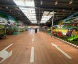 Trường mầm non Doanh thu 10 tỷ/năm, Hiệp Bình Chánh – 1474m² full thổ cư