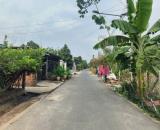 Cần bán gấp đất đẹp diện tích 2000m² giá chỉ 150 triệu