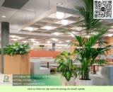 Chăm sóc cây xanh văn phòng trọn gói TPHCM chuyên nghiệp