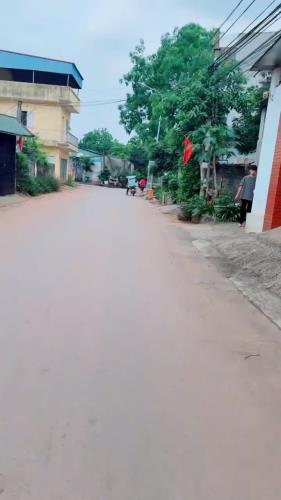 BÁN LÔ ĐẤT TRỤC CHÍNH TAM LỘNG – KINH DOANH ĐỈNH, GIÁ CHỈ 2 TỶ 3XX - 2