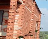 Bán gấp vườn sầu riêng 16 000m² 250 cây gần 1 năm tuổi cẩm mỹ đồng nai