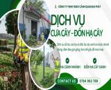 Dịch Vụ Chăm Sóc Cây Xanh Vệ Sinh Cảnh Quan Long Bình Tân Biên Hòa Đồng Nai