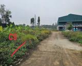 BÁN LÔ ĐẤT ĐẸP NGAY NÚT GIAO IC4 TRƯỜNG MẦM NON KIM LONG THỦ PHỦ KCN TAM DƯƠNG 100m2 MT5m