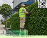 Chăm sóc cây xanh, cắt cỏ – vệ sinh cảnh quan Tam Phước Đồng Nai