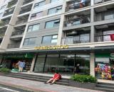 Bán Chung cư S1.06 VinHomes Ocean Park 1, tầng thấp hiếm gặp, diện tích 67m2, giá 4.15 tỷ