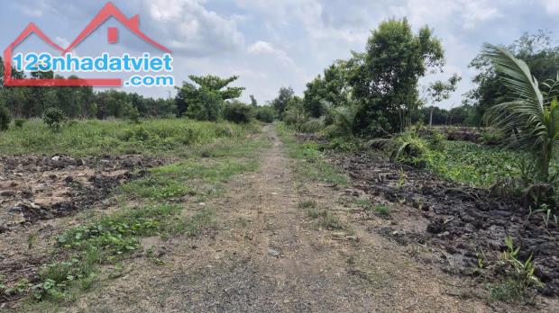 Bán đất 28.3x34m , ( tổng 1692m2) đường ô tô, xã Hựu Thạnh, Đức Hòa, Long An.Giá bán 2 tỷ.