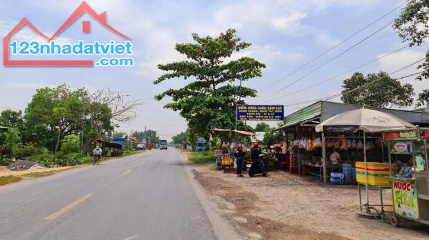 Bán đất 28.3x34m , ( tổng 1692m2) đường ô tô, xã Hựu Thạnh, Đức Hòa, Long An.Giá bán 2 tỷ. - 4