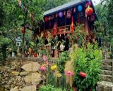 Homestay nghỉ dưỡng giữa thiên nhiên - View ruộng bậc thang, suối thác quanh năm - Chỉ