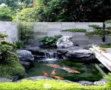 Dịch vụ chăm sóc cảnh quan uy tín - nhanh chóng - giá rẻ