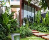 Dịch vụ chăm sóc cảnh quan nhà máy ở HCM, Đồng Nai