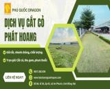 Nhận cắt cỏ khu dân cư, đất dự án, đô thị
