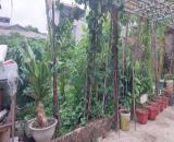 🔥 BÁN ĐẤT VÂN NỘI – NỞ HẬU CỰC ĐẸP 🔥