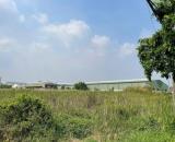 BÁN NHÀ MÁY 21.467M² TẠI CAO LÃNH ĐỒNG THÁP – ĐẤT SX PHI NÔNG NGHIỆP – CHUYỂN NHƯỢNG 100%