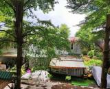 CĂN HỘ TẦNG 1 VIEW THOÁNG NGAY GÓC CẦU THANG BỘ - THANG MÁY HỎNG CŨNG KHÔNG SỢ