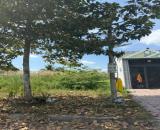 Bán đất MT đường 30m, KDC Minh Linh, P.5, Tp Vĩnh Long, DT: 5x25 giá 1 tỷ 450tr