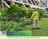 Dịch vụ cắt cỏ Tăng Nhơn Phú TP.HCM