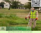 DỊCH VỤ CẮT CỎ KCN BÌNH DƯƠNG – AN TOÀN, NHANH CHÓNG, CHUYÊN NGHIỆP