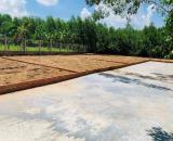 Lô đường chính gái chỉ từ 990 triệu/lô