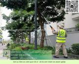 DỊCH VỤ CHĂM SÓC CÂY XANH – BẢO DƯỠNG CẢNH QUAN KCN BÌNH DƯƠNG CHUYÊN NGHIỆP