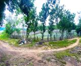 1,1 ha đất hẻm bên sông pré, phú hội cũ, đức trọng, lâm đồng