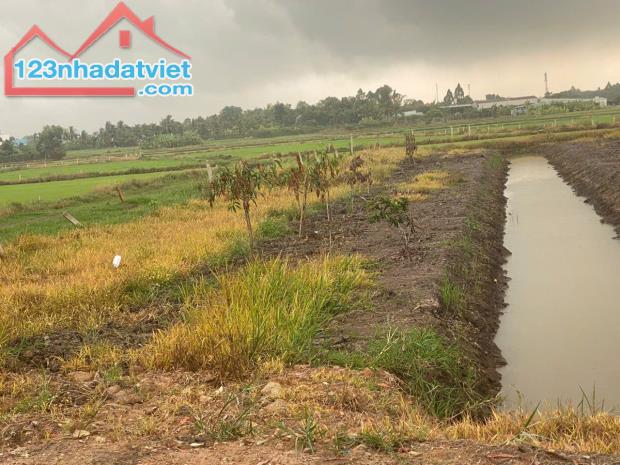 Bán đất vườn 530m2 tại xã Phước Thạnh Củ Chi giá 900 triệu. - 1