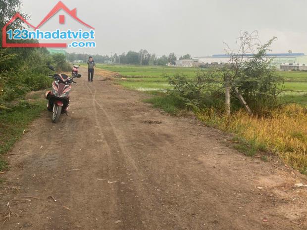 Bán đất vườn 530m2 tại xã Phước Thạnh Củ Chi giá 900 triệu. - 3