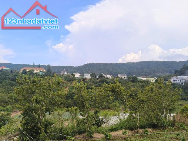 ►  BÁN ĐẤT ĐẸP PHƯỜNG XUÂN TRƯỜNG – ĐÀ LẠT