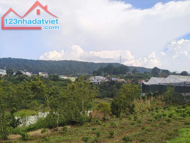 ►  BÁN ĐẤT ĐẸP PHƯỜNG XUÂN TRƯỜNG – ĐÀ LẠT - 1