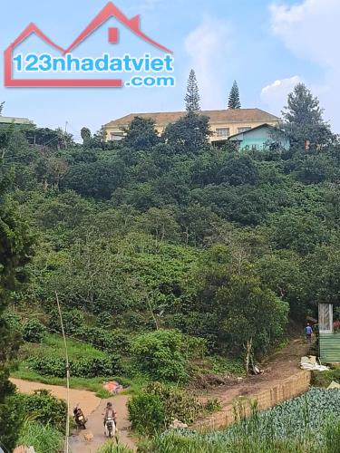 ►  BÁN ĐẤT ĐẸP PHƯỜNG XUÂN TRƯỜNG – ĐÀ LẠT - 2