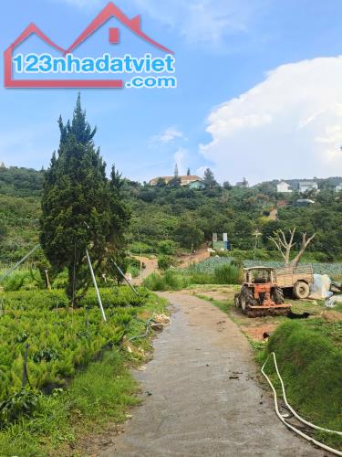 ►  BÁN ĐẤT ĐẸP PHƯỜNG XUÂN TRƯỜNG – ĐÀ LẠT - 3