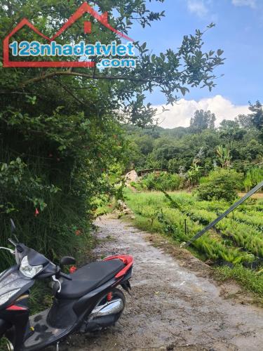 ►  BÁN ĐẤT ĐẸP PHƯỜNG XUÂN TRƯỜNG – ĐÀ LẠT - 4