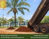 Công ty cây xanh uy tín ở Đồng Nai, HCM, Bình Dương